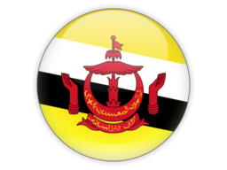 Brunei Button